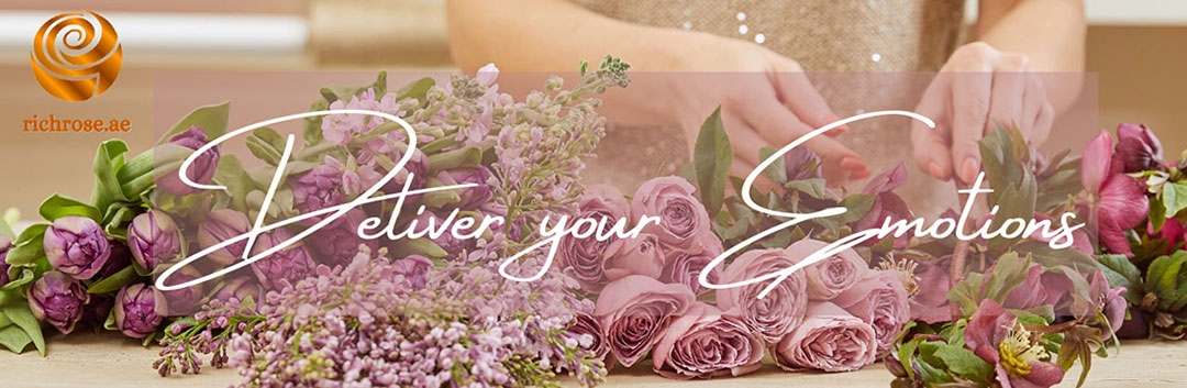 RichRose.ae RichRose.ae